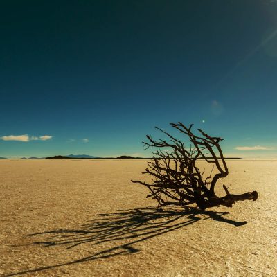 desert-2000×2000 desert-2000x2000